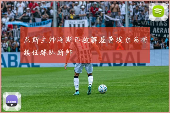 尼斯主帅海斯已被解雇普埃尔或将接任球队新帅